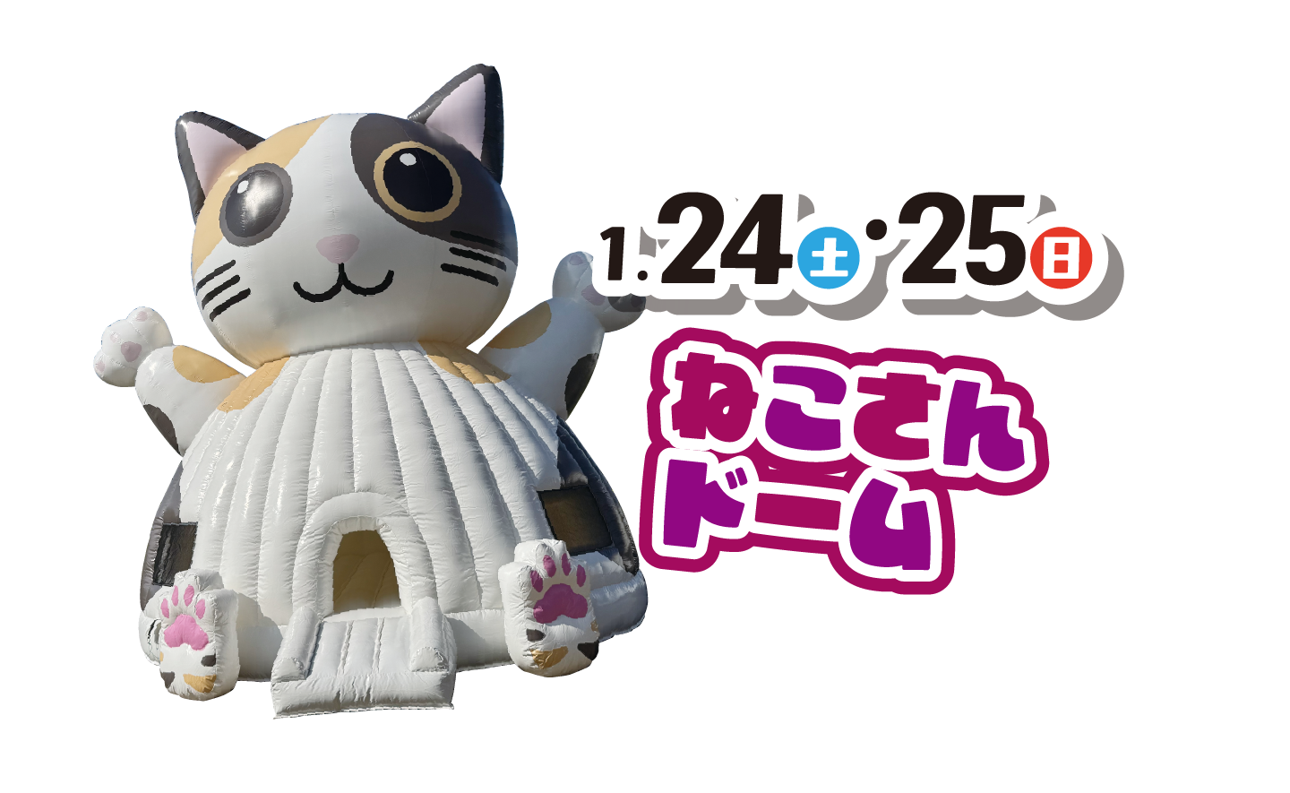 1月24日、25日 ねこさんドーム