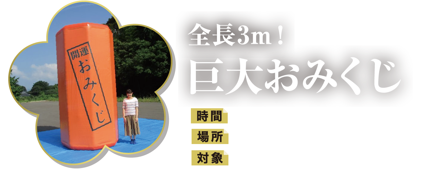 全長3m 巨大おみくじ