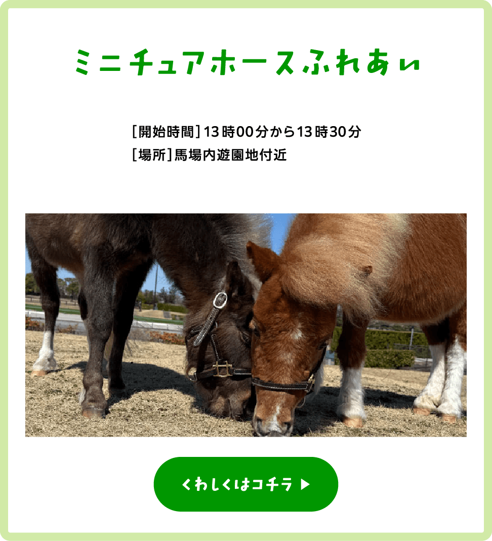 ミニチュアホースふれあい
