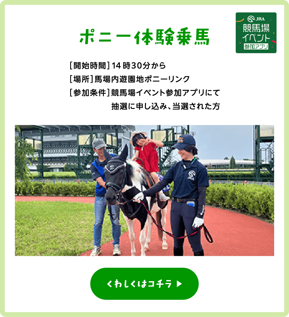 ポニー体験乗馬